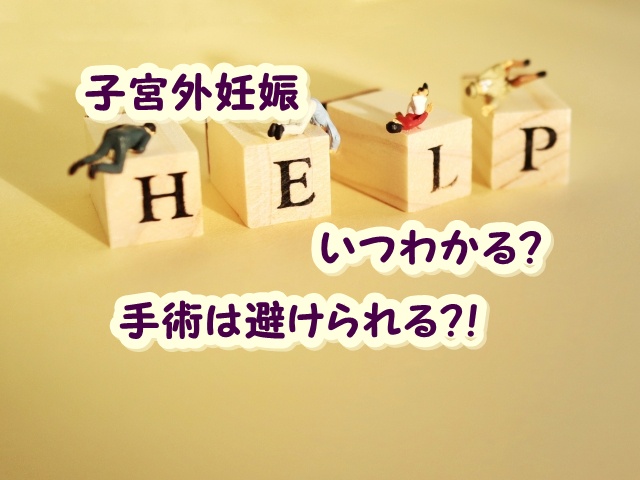 2度の流産と妊活記録vol 7 子宮外妊娠かどうかはいつわかる 手術は避けられるの やっぱり家が好き
